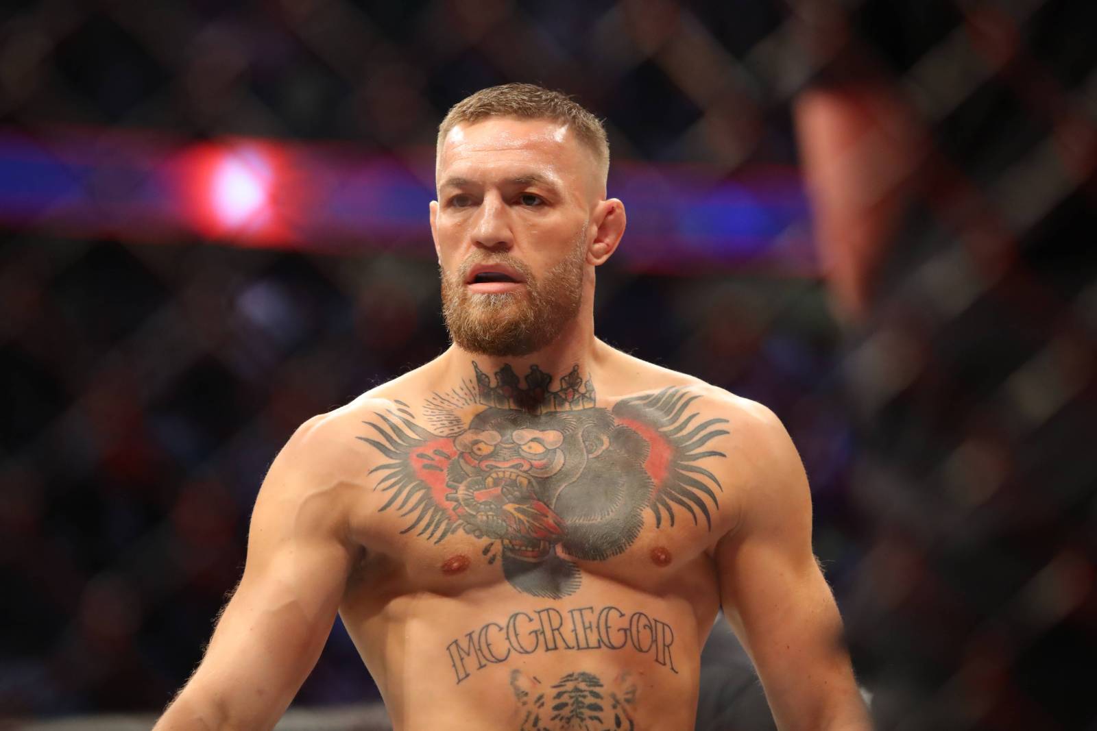 Чемпион UFC: &laquo;Всё, к чему прикасается Макгрегор, превращается в золото&raquo;