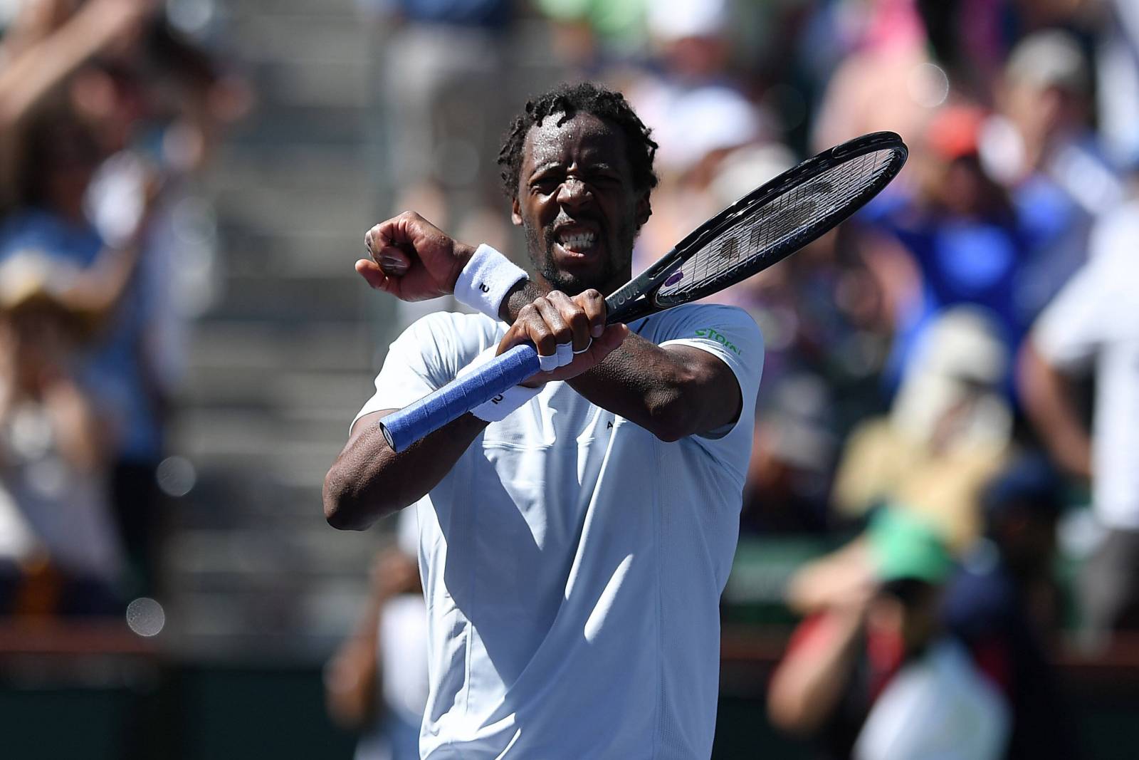 Монфис: &laquo;Алькарас на одном уровне с Джоковичем, Надалем и Федерером&raquo;